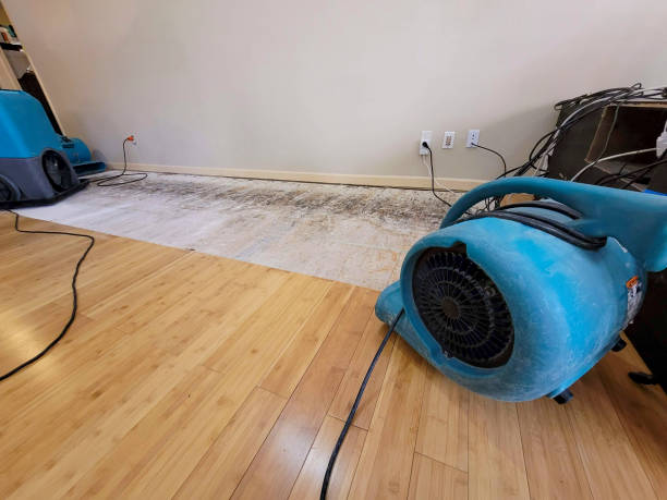 Reliable Basement Flood Cleanup contractor in Scottville, MI by Hirex Water Damage