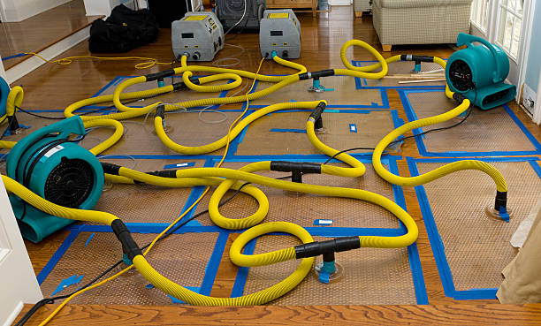 Professional Basement Flood Cleanup technician working in Scottville, MI